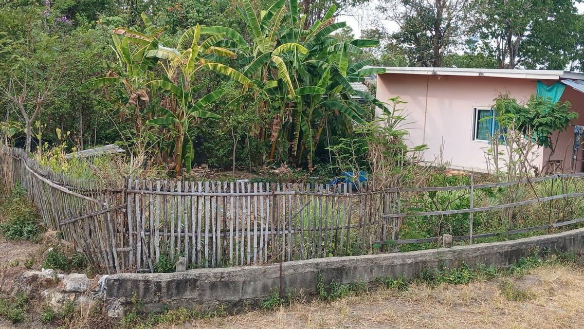 ที่ดิน จังหวัดเชียงใหม่ อำเภอแม่ออน 5