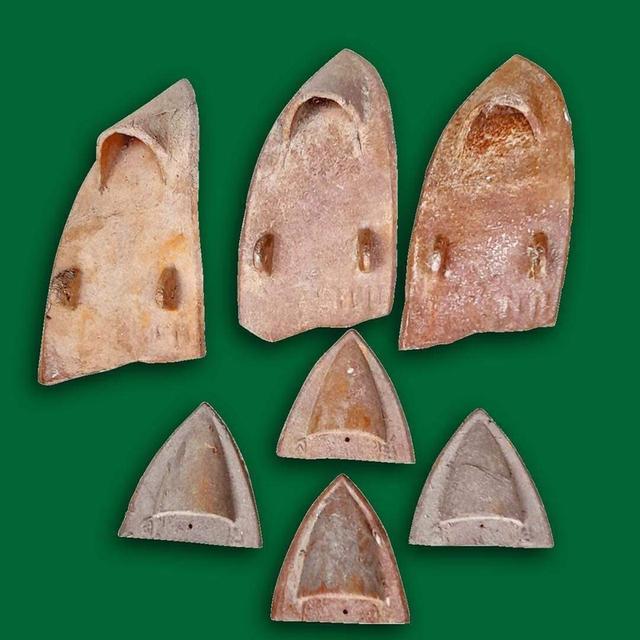 ผานไถนา ผานเหล็กคันไถนา ผานคันไถ ผานโบราณ สบไถนา 2