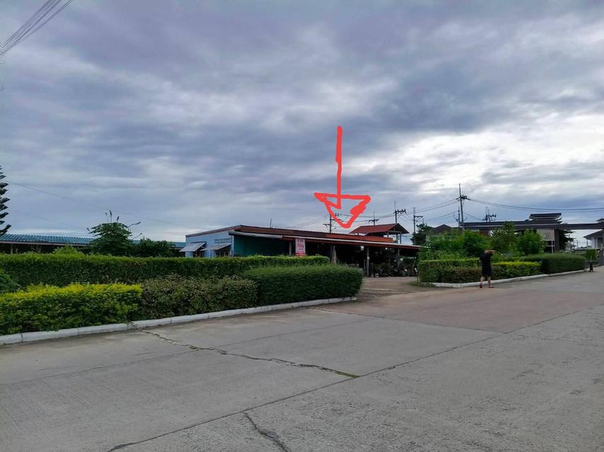 ขายที่ดินปลวกแดงพร้อมห้องเช่า 29 ห้องมีคนเช่าเต็มทุกห้องค่าห้องเดือนละ 3,000 บาทต่อห้องและมีบ้านอีก 3 หลัง 1