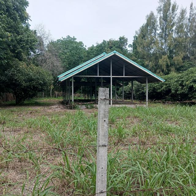 ขายที่ดินแปลงนี้ ที่สวย อากาศดี 3 งาน 45 ตรม. 1