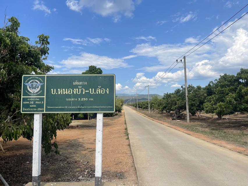 ขายที่ดินสวนลำใย 7ไร่ 56 ตรว. 1