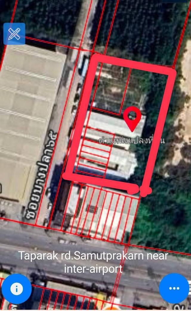 ขายและให้เฃ่าที่ดินถมแล้วติดถนนคอนกรีตกว้าง20เมตรทำได้ทุกธุรกิจหรืออาศัย 11