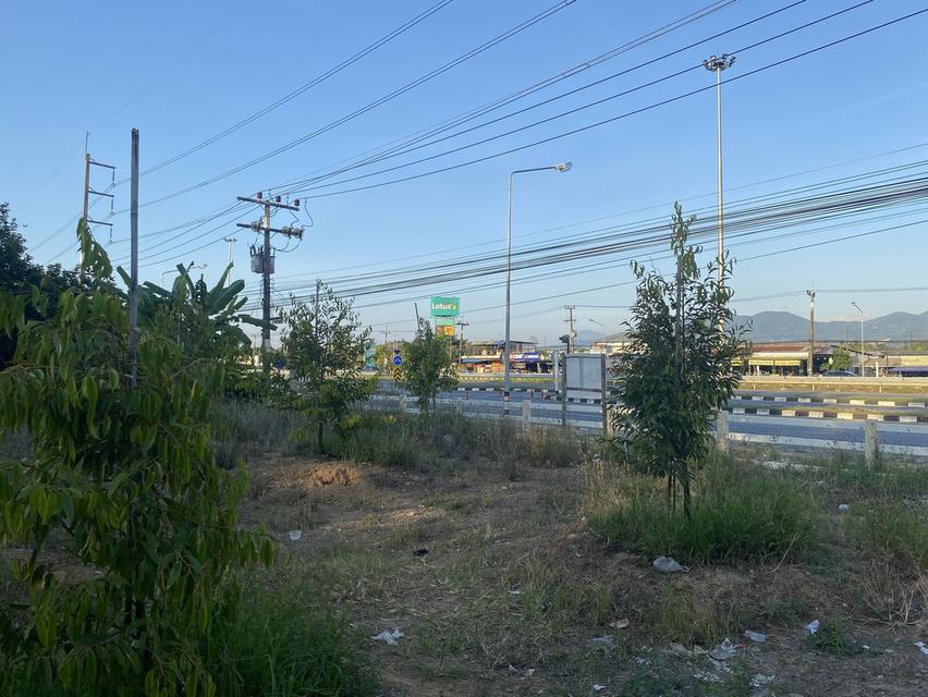 ที่ดินมีรายได้ ทำเลอนาคต ตรงข้ามโลตัสเวียงสระ 1