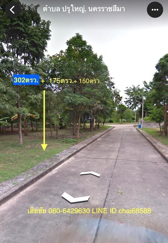 ขายที่ดินในหมู่บ้านกฤษฏาการ์เด้นส์ 302ตรว.175ตรว.150ตรว. 3แปลง ติดถนน 304 ใกล้.มทส.ประตู1 ตำบลปรุใหญ่ อ.เมืองนครราชสีมา ในหมู่บ้านกฤษฏาการ์เด้นส์ 2