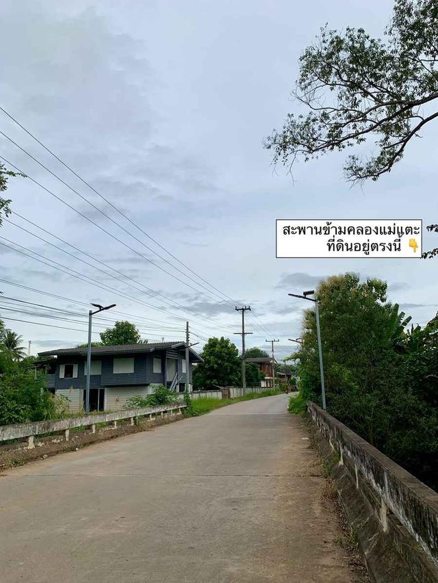 ขายถูก! ที่ดินติดแม่น้ำเกือบ 9 ไร่ในลำพูน ราคาเริ่มต้นแค่ 1.6 ล้านบาท 6