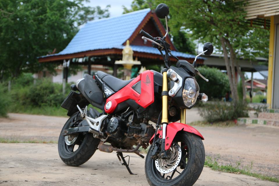 msx สดและผ่อน
