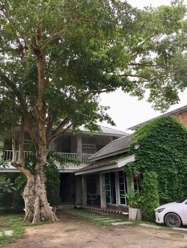 บ้านเชียงใหม่ ใกล้มช. วิวเขา 10