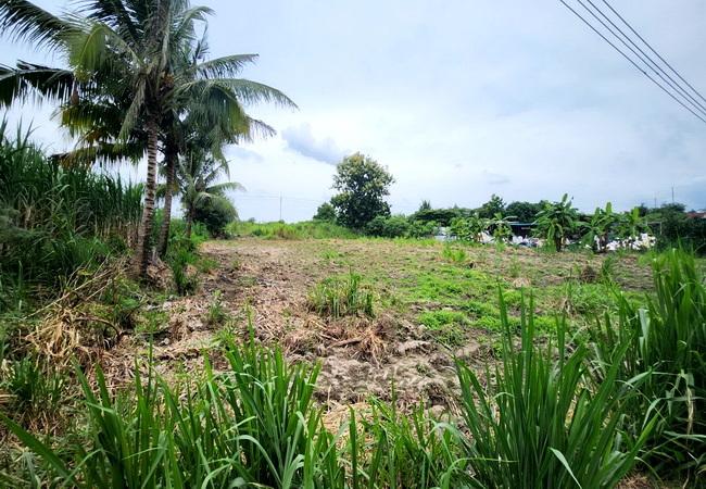 ขายที่ดิน บ่อทอง เทศบาลตำบลธาตุทอง 5 ถนนบ่อทอง ตำบลธาตุทอง อำเภอบ่อทอง ชลบุรี 6
