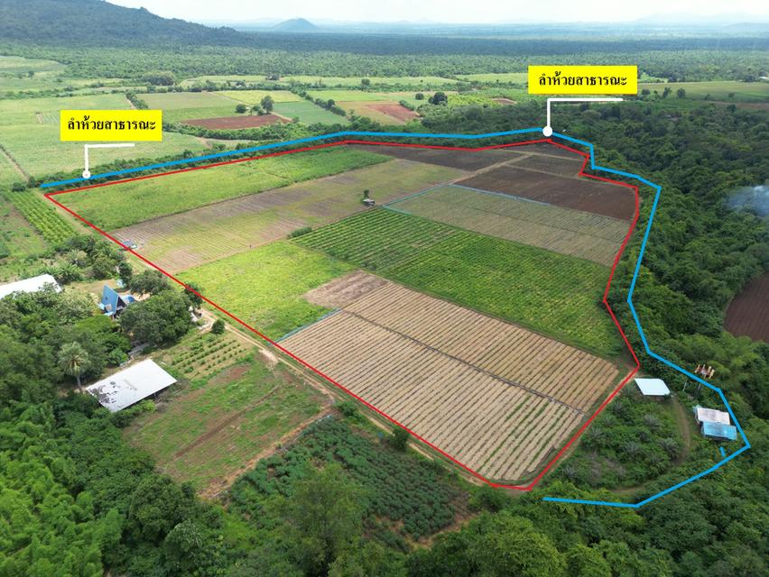 ขายที่ดิน 42 ไร่ วังดง เมืองกาญจนบุรี ติดน้ำ วิวเขา ล้อมรอบด้วยธรรมชาติ 2