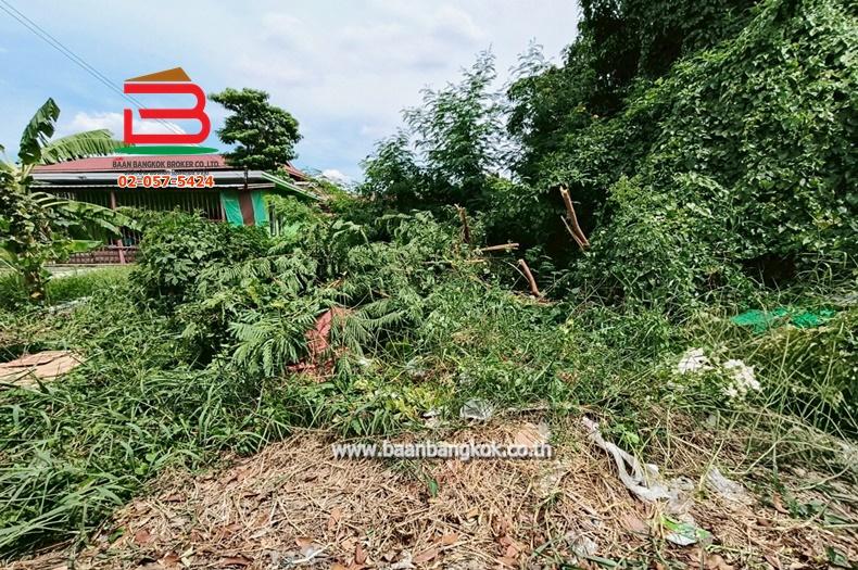 ที่ดินเปล่า ซ.คลองสาม 6/5 เนื้อที่ 60 ตรว. ถนนพหลโยธิน ต.คลองสาม อ.คลองหลวง จ.ปทุมธานี 2