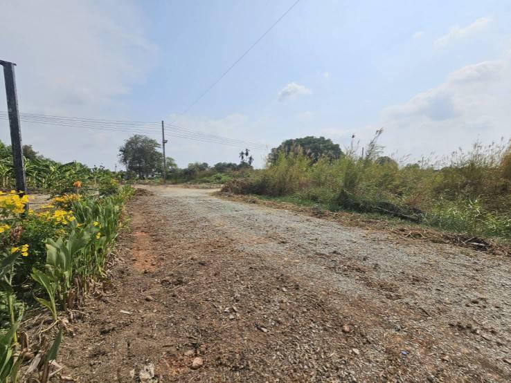 ขายที่ดินเปล่า แปลงมุม  ติดถนน 2 ด้าน ซอยวัดศรีวารีน้อย  อำเภอบางเสาธง สมุทรปราการ 5