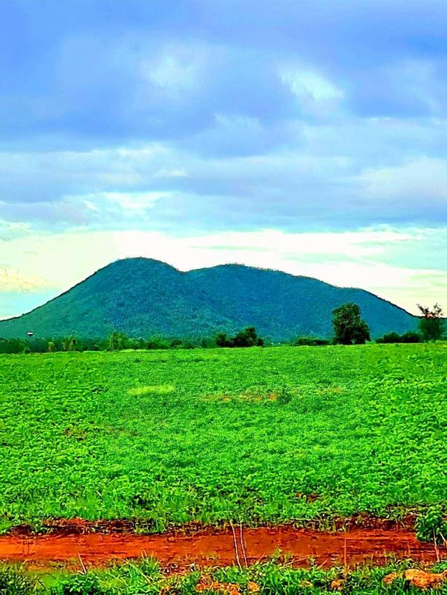 ขายที่ดินวิวภูเขา 919 ไร่  ต.บ่อพลอย จ.กาญจนบุรี 8
