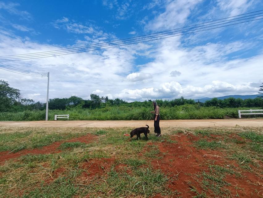 ที่ดินเขาใหญ่ ทำเลดี ต.หมูสี อ.ปากช่อง  2