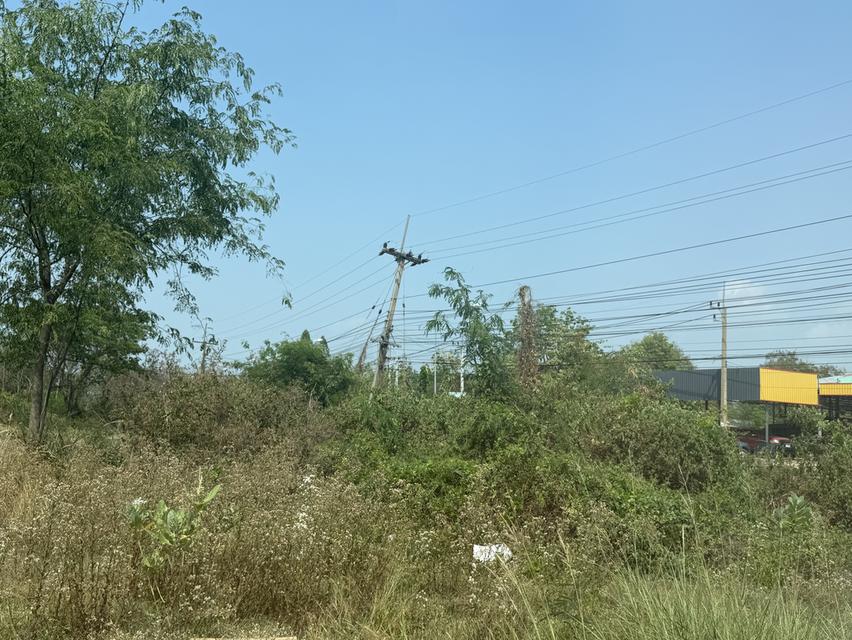 ขายที่ดิน 5.5 ไร่ แถม 1 ไร่ อำเภอโกสุมพิสัย จังหวัดมหาสารคาม 5