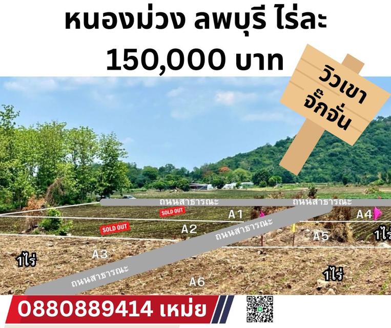 ที่ดิน หนองม่วง ลพบุรี ตรวาละ 375 บาท