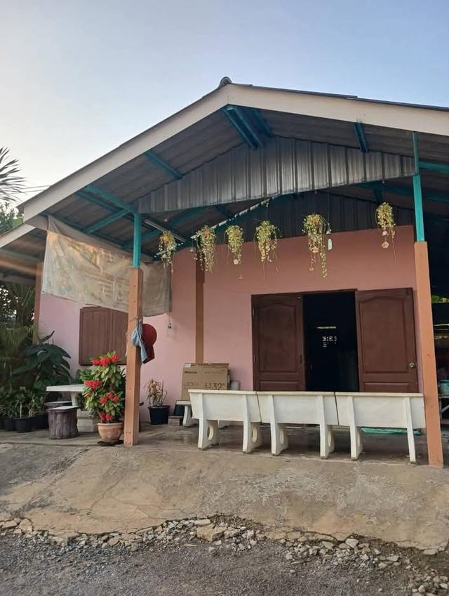 ขายถูกที่สุดบ้านสวนมี3หลังพร้อมที่ดิน295.5ตรว.โฉนดครุฑแดง ราคาถูกที่สุด1.35ล้าน โฉนดครุฑเเดง มีต้นไม้ผล 14