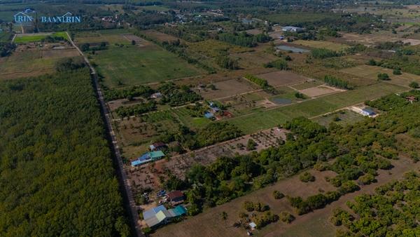 ขายที่ดินเปล่า พร้อมสวนมะม่วง 180 ตร.ว. / 199,999 บ.  097 446 4446 3