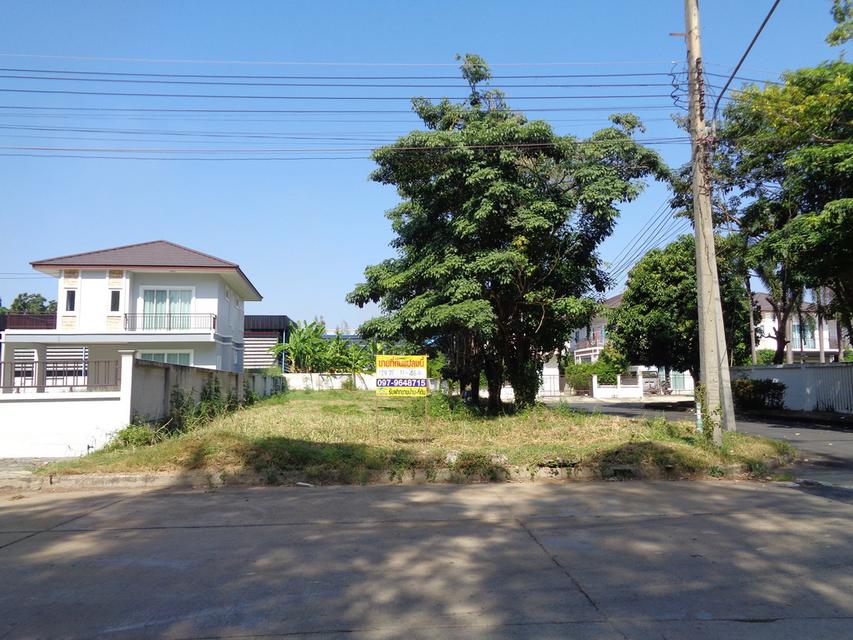 🚩 ขายที่ดินแปลงหัวมุม 129 ตารางวา ราคาถูกสุด❗ ทำเลดี ภายในโครงการหรูมีระดับ 10