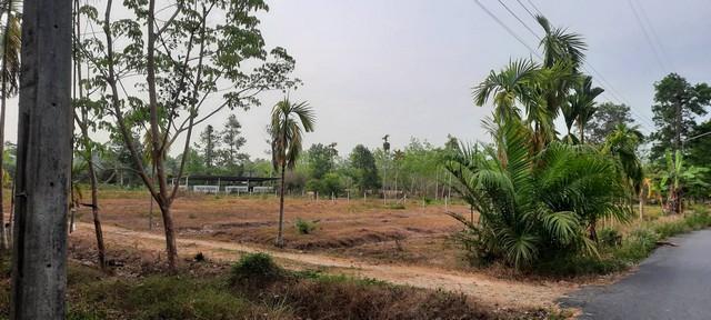 ที่ดิน ที่ดิน ใกล้ม.วลัยลักษณ์ จ.นครศรีธรรมราช 10309500 THAI BAHT ใกล้ ห่าง ม.วลัยลักษณ์ จ.นครศรีธรรมราช ประมาณ 1 กม. โค รูปที่ 3