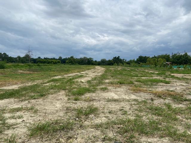 ที่ดินเปล่า ต.บ้านแหวน อ.หางดง ทำเลดี 6