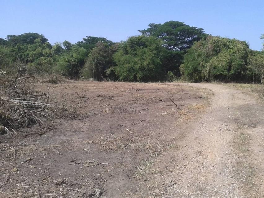 ที่ดินริมแม่น้ำป่าสัก จังหวัดสระบุรี 5