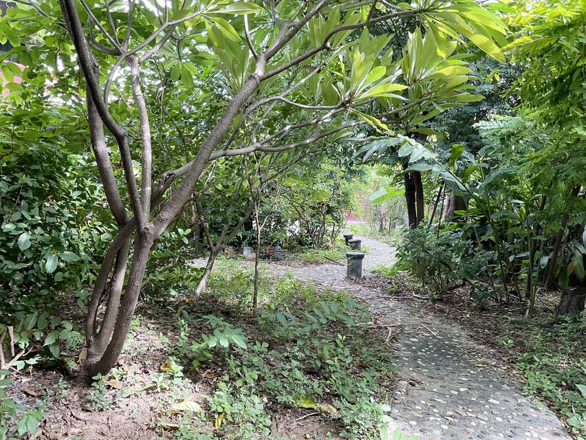 ขายที่ดินบางซื่อ ในเมืองกรุงเทพ 231 ตร.วา พร้อมบ้าน 2 ชั้นมีสไตล์ ใกล้ MRT ติดตลาด บางซ่อน (กรุงเทพ-นนท์ 27) 4