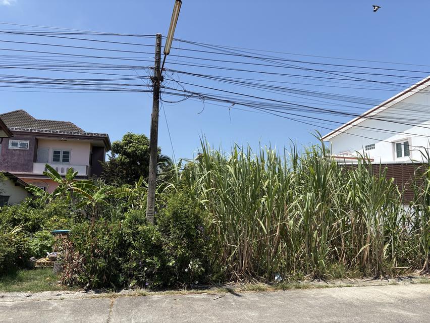 ที่ดิน 100 ตร.วา เขารูปช้าง สงขลา 4