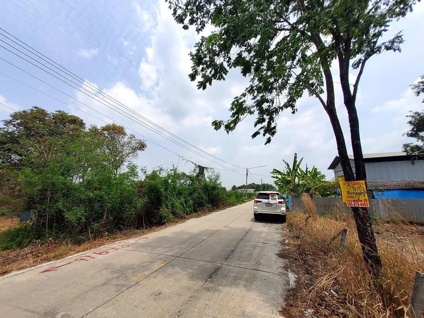 ขายถูกที่ดินคลองหก 2 ไร่ 2 งาน ติดถนนคอนกรีตสาธารณะ ซอย คลองหก ตต.31 อ.คลองหลวง จ.ปทุมธานี 4