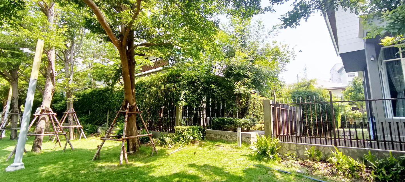 ขายบ้านพร้อมเฟอร์นิเจอร์ นาราโบทานิค ศรีนครนทร์ 3