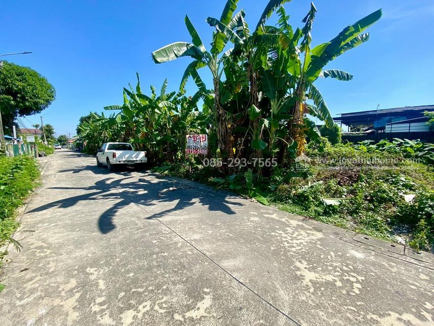 ขายที่ดิน ถนนสุขาภิบาล5 ซอย34 สายไหม แปลงสวย พื้นที่ 40.6 ตารางวา เข้าซอยเพียง 300 เมตร ใกล้จุดขึ้น-ลงทางด่วนสุขาภิบาล5 6