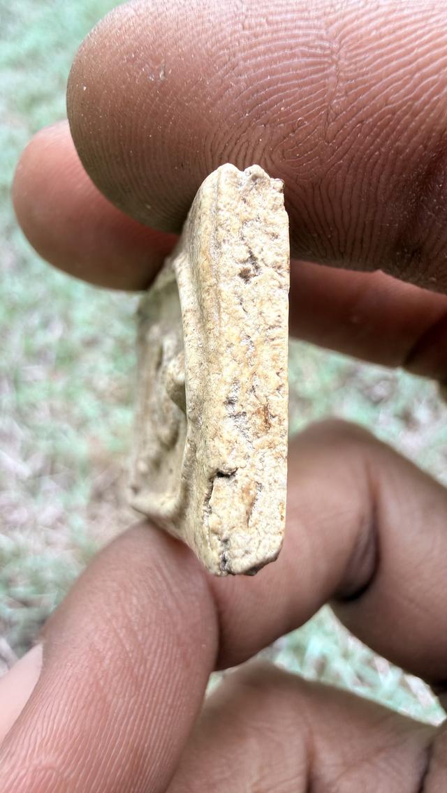 พระสมเด็จวัดระฆังพิมพ์ใพญ่ 8