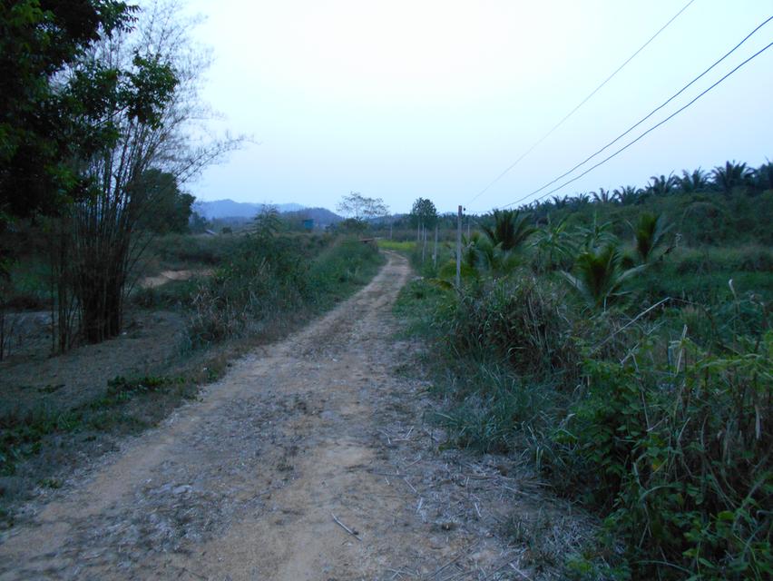 ขายที่ดิน 10 ไร่ พร้อมบ้าน ติดลำห้วย 3 สาย ต.บ้านบึง อ.บ้านคา จ.ราชบุรี 12