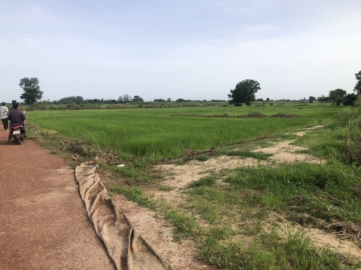 ขายที่ดิน 14 ไร่บ้านบอนแดงหมู่ 5 ติดคลองชลประทานเขตเทศบาลพันเสา 2