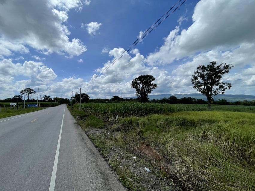 ที่ดินติดถนน เส้นบ้านไทรงามมุ่งหน้าอำเภอคอนสวรรค์ ที่ดินอยู่ในเขตอำเภอเมืองชัยภูมิ โทร 0939694146 6