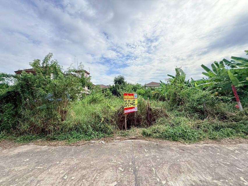 Vายที่ดินใกล้รถไฟฟ้าสายสีชมพู 146 ตารางวา ติดถนนคอนกรีต ถมแล้ว ซอยต้นสน 6 อ.ปากเกร็ด จ.นนทบุรี 10