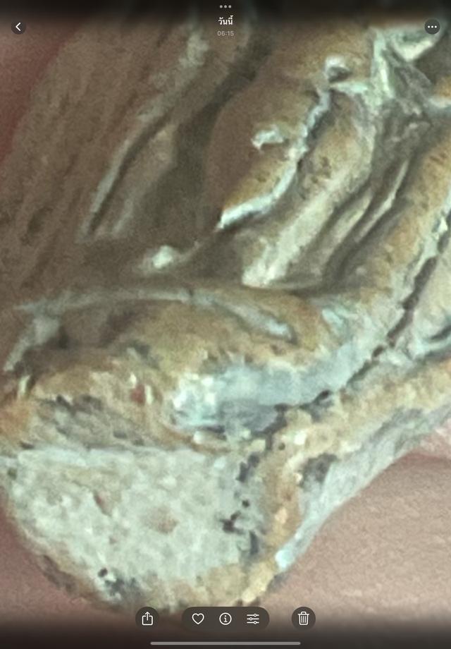 พระกำแพงลีลาเม็ดขนุน พิมพ์ไหญ่ กุวัดพิกุล 9