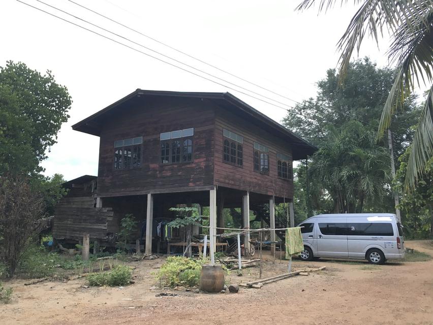 ขายบ้านไม้ พร้อมที่ดินราคาถูก