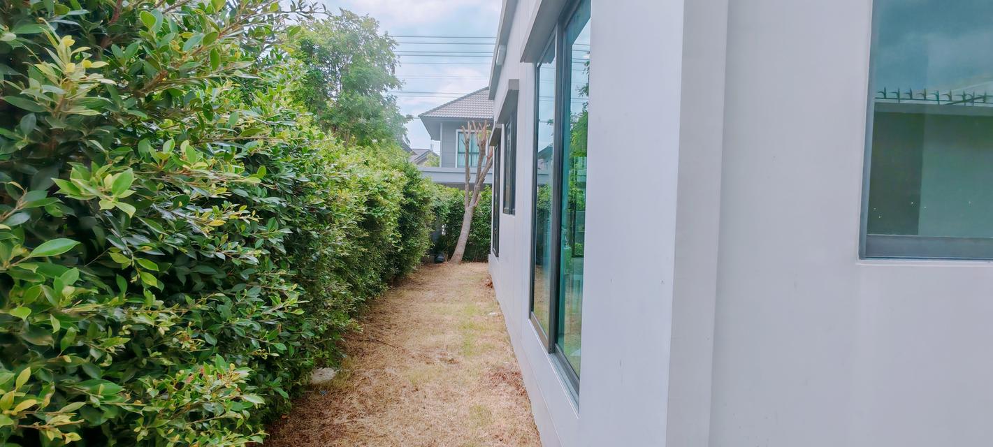 ขาย บ้านแฝด 2 ชั้น สไตล์บ้านเดียว เพฟ เพชรเกษม-สาย 4 ทำเล ราคานี้หาไม่ได้แล้ว 6