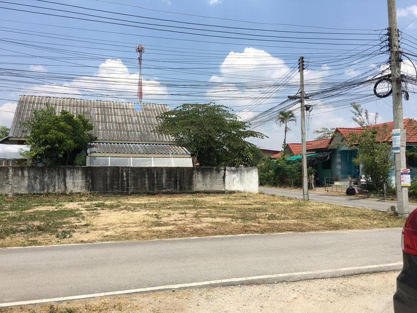 อยู่สะดวกสบาย ทำเลดี 50 ตรว. 12