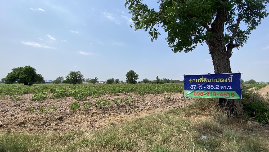 ที่ดินเปล่า จังหวัดกาญจนบุรี 12