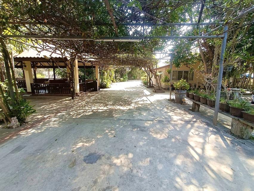 ขายที่ดินพร้อมบ้าน เนื้อที่ 19-3-66 ไร่ ต.ทุ่งหลวง อ.ปากท่อ ราชบุรี 7