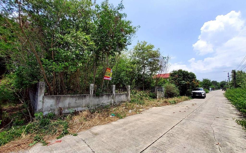 ขายด่วนที่ดินวิวคลอง 95 ตรว ติดถนนสาธารณะ คลองสี่ ซ.สุสวาส ธัญบุรี ปทุมธานี 7