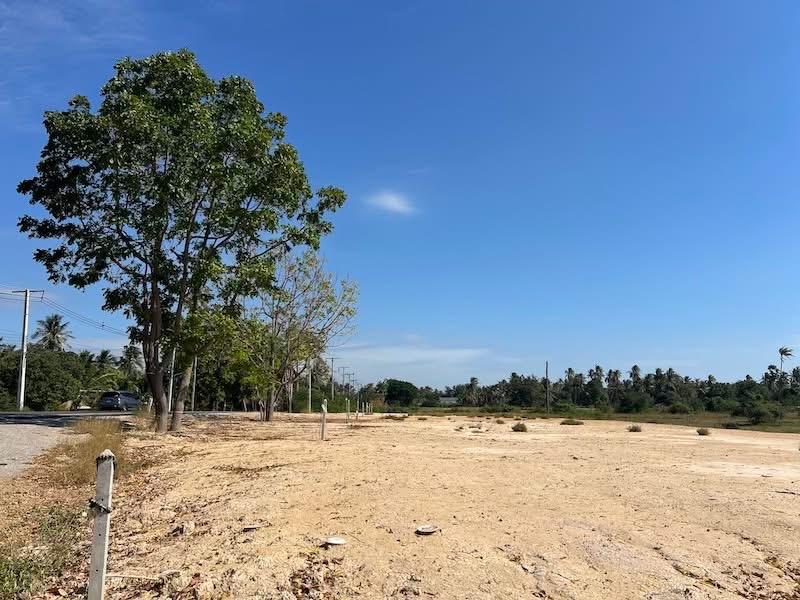 ที่ดิน บ่อนอก ประจวบคีรีขันธ์ติดทะเล 50 ตรวา ผ่อนได้  13