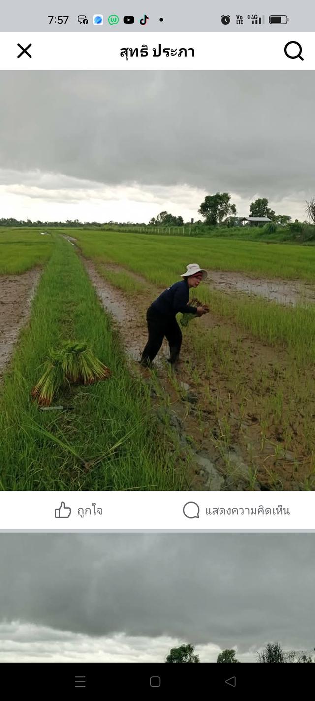ที่ดินเปล่าจำนวน1แปลง 1