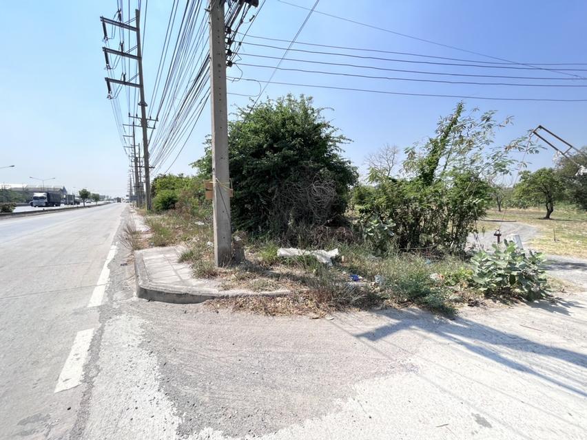 ที่ดินติดถนนมิตรภาพ แก่งคอย จ.สระบุรี 8