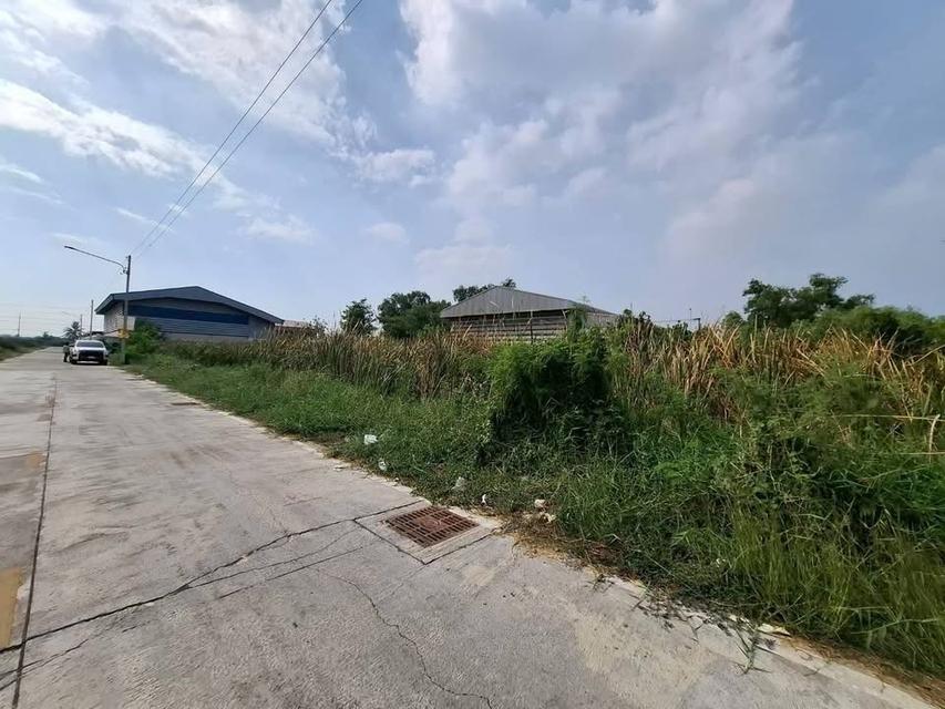 ขายที่ดินคลองสอง 1 ไร่) (ทำเลดี มีอนาคต จ.ปทุมธานี 6