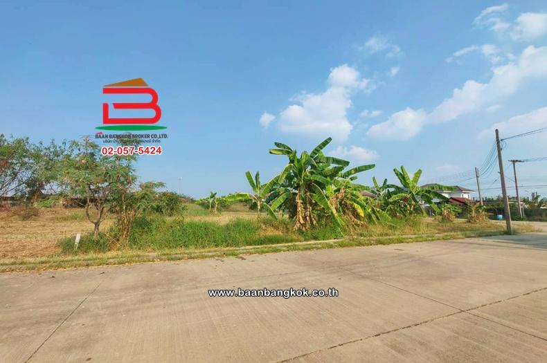 ที่ดินเปล่า เนื้อที่ 112 ตร.ว. หมู่บ้านเดอะลากูล 1-2 ถนนปทุมธานี-สามโคก-เสนา ตำบลท้ายเกาะ อำเภอสามโคก ปทุมธานี 3