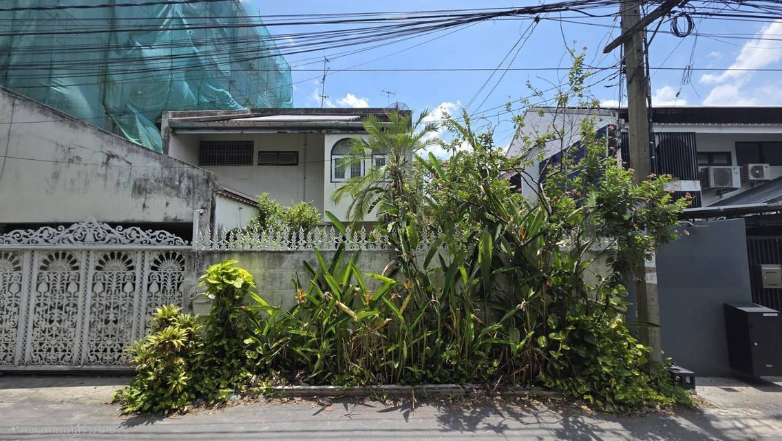 ขายบ้านเอกมัย 22 ซอยเยาวราช สุขุมวิท ที่ดิน 42 ตร.ว สภาพแวดล้อมน่าอยู่ ถนนกว้าง เข้าออกได้ทั้งเอกมัย ปรีดีพนมยงค์ ใกล้ BTSทองหล่อ Sukhumvit Ekkamai 1
