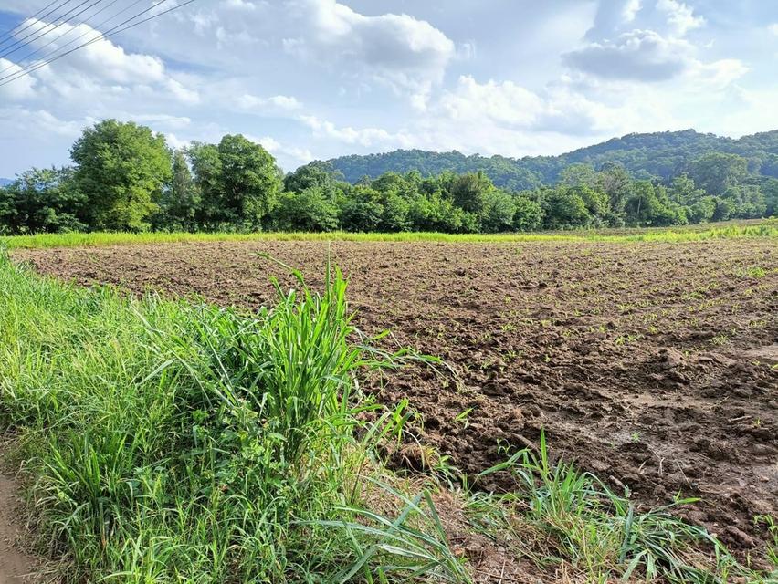 ที่ดินปากช่อง ต.พญาเย็น จ.นครราชสีมา 7