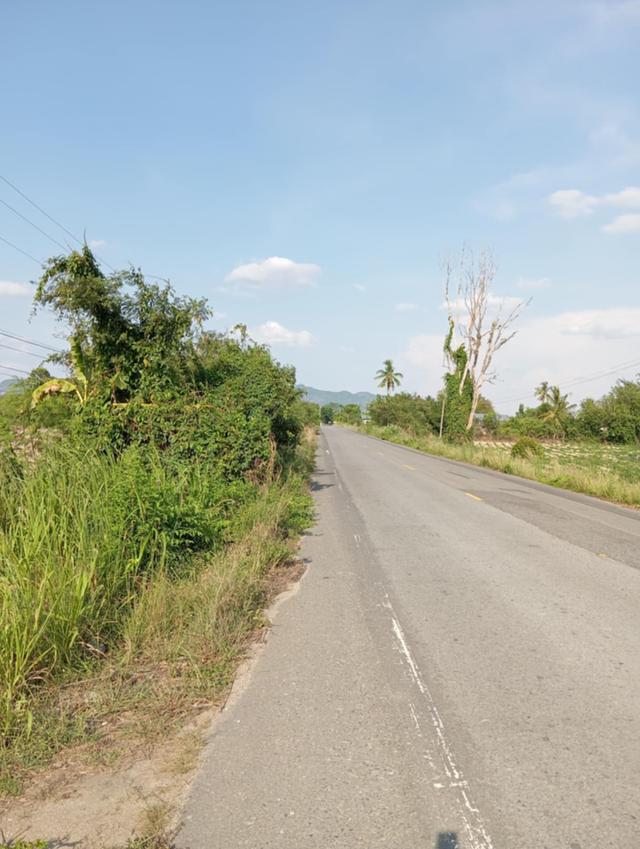 ที่ดิน